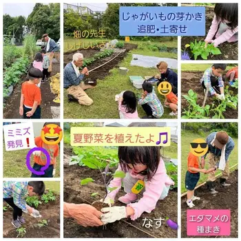 ZEAL3月1日OPEN！！/畑セラピー～夏野菜を植えたよ～