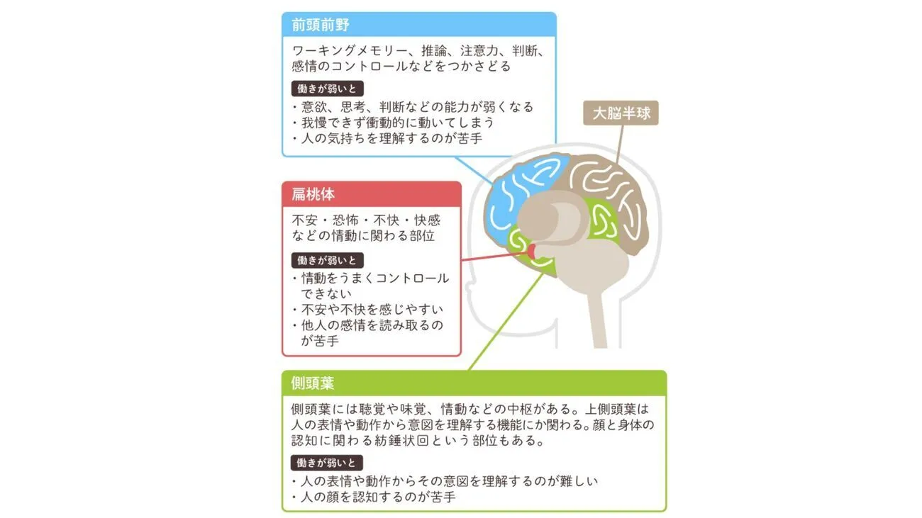 アスペルガー症候群（ASD／自閉スペクトラム症）の原因は？遺伝する確率はある？【専門家監修】のタイトル画像