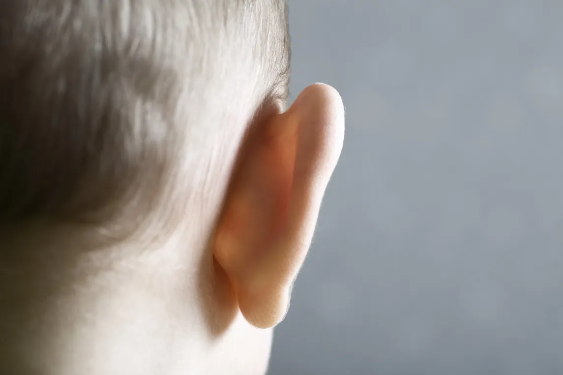 聴覚障害とは？等級や種類、コミュニケーション方法、進学先も解説【医師監修】のタイトル画像