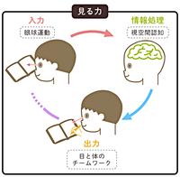 眼振 眼球振盪 がんきゅうしんとう とは 種類や原因 症状から治療方法まで詳しく解説します Litalico発達ナビ