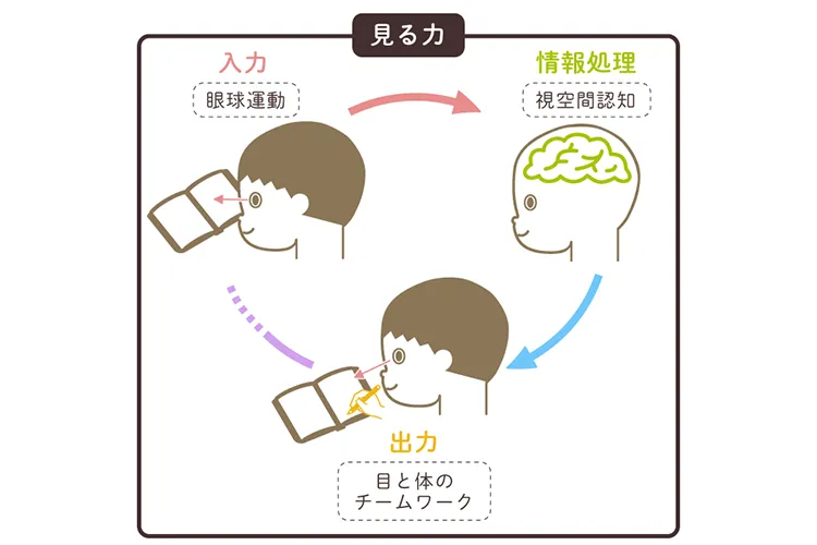 視空間認知とは？発達障害との関連についてのタイトル画像