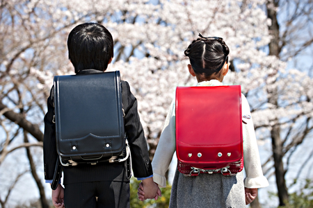 うちの子は「不適切」?就学相談の後、届いた通知にあった言葉は…のタイトル画像