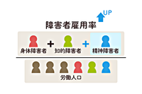 企業の障害者法定雇用率、2.3パーセントに引き上げへー発達障害・精神障害者の雇用機会は広がるかのタイトル画像