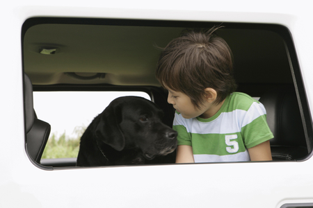 自閉症児向け介助犬 が自閉症の子どもの歯科治療をサポート 南米チリでの進んだ取り組みを紹介 Litalico発達ナビ