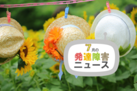 容姿や発達障害、「人と違うこと」への少年の葛藤を描いた映画が公開中。LITALICO研究所所長の出版記念イベントや、寄付本で障害のある人の職場づくりを支援する取り組みものタイトル画像