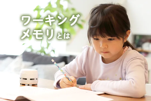 WISC-III日本版知能検査法ウィスク3発達障害心理学自閉症特別 - 静岡県 