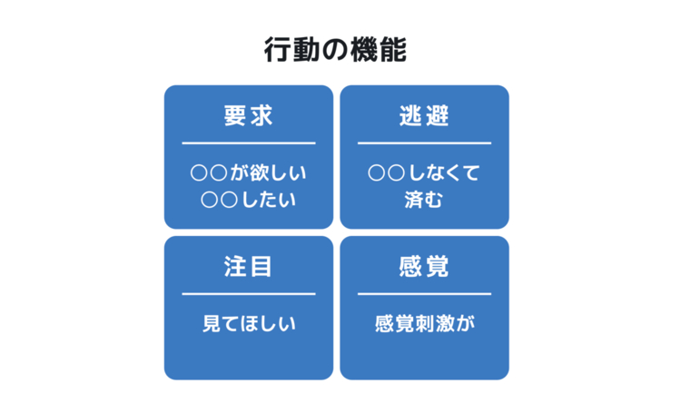 アーティスト、取材・イベントレポ