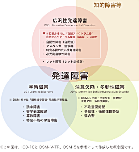 発達障害とは 発達障害の分類 症状 特徴 診断方法はどのようなもの Litalico発達ナビ