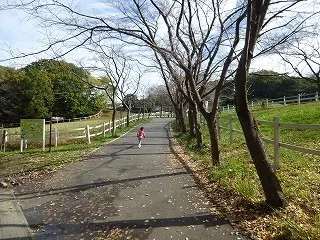 療育はひとつに絞るべき?3つの場所に通った私が「子どもにあった環境選び」について思うことの画像