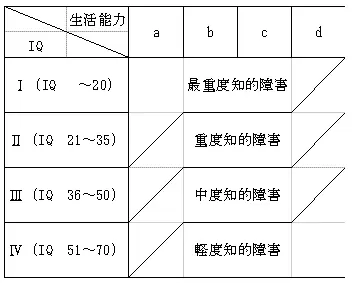 小児 ストア 評価 ライター国際動作性知能検査