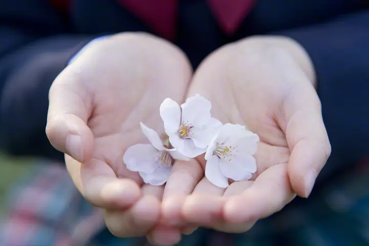 どうしても眠れない…睡眠障害と向き合う息子とわたしの工夫の画像