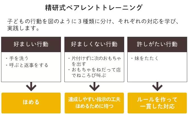 精研式・奈良方式ペアレントトレーニングでの子どもの行動分類
