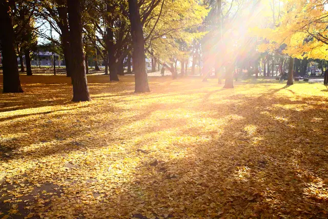 [第1回]「耳聞こえないから無理」それでも挑戦したかった、女優という夢。の画像