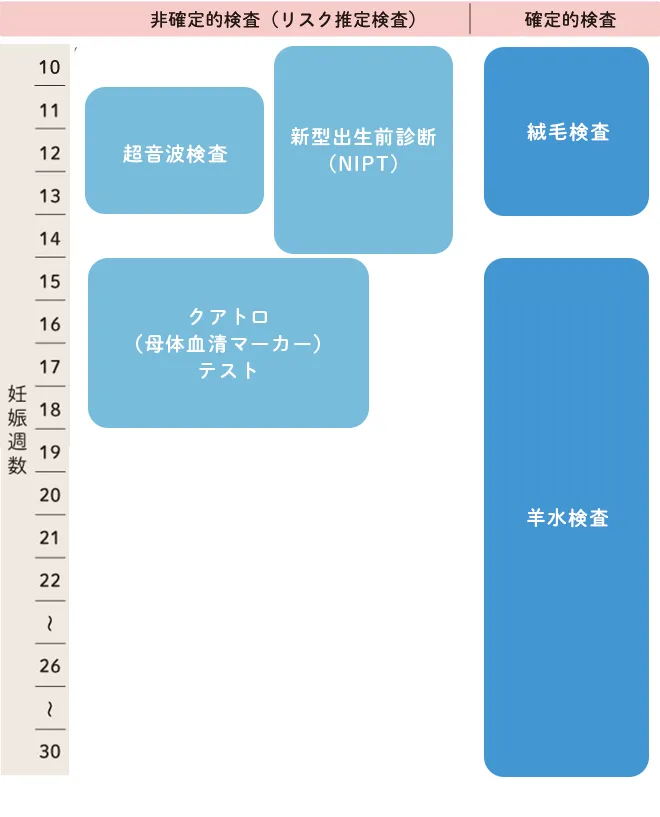 ダウン症の検査の流れ