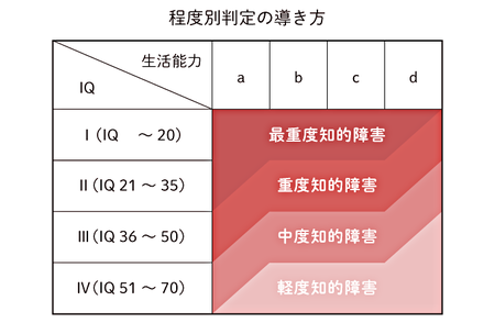 軽度知的障害とは 軽度知的障害の特徴と判明しやすい時期 本人に合った学習 支援方法まとめ Litalico発達ナビ