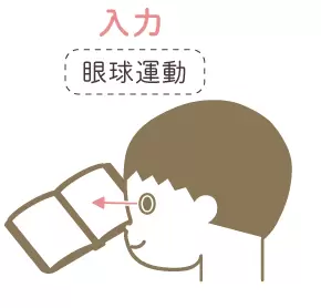 視空間認知って？「見る」ことのメカニズム・検査・強化する