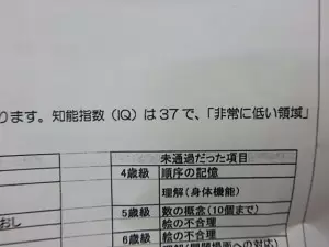 IQ３７との検査結果