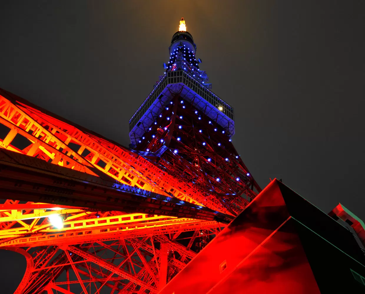 一般社団法人日本自閉症協会　提供写真