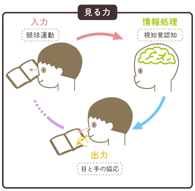 視覚運動協応とはどういう意味ですか？