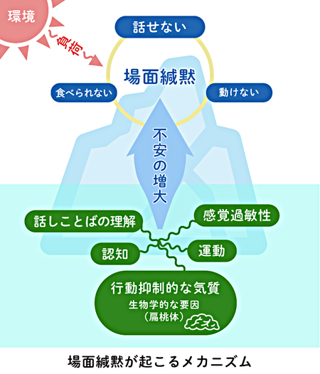 場面緘黙 かんもく の原因とは 声が出ない要因 子どもの緘黙はなぜ起こる 大人の場合は について解説 Litalico発達ナビ