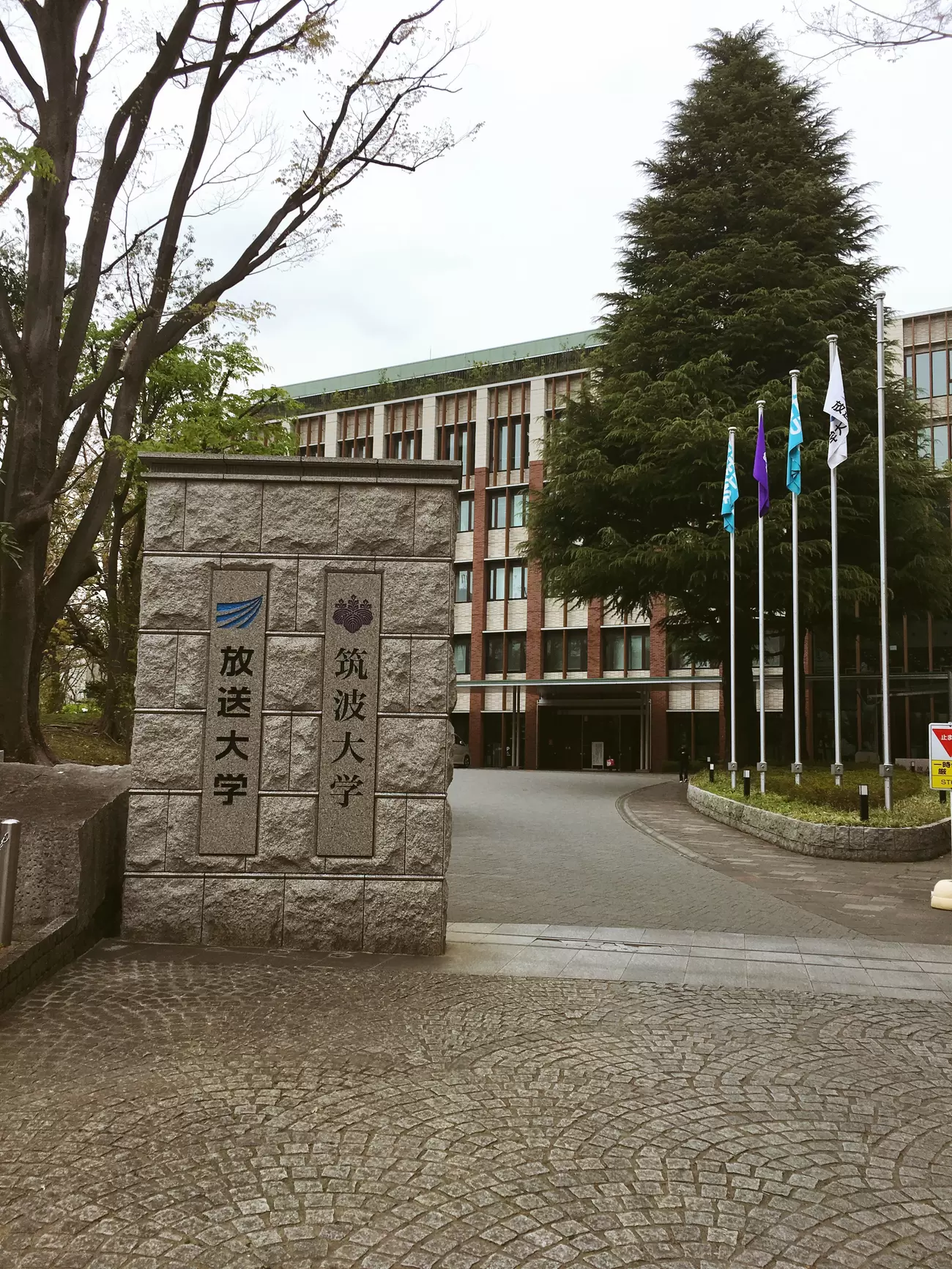 「アーレン症候群」を知っていますか。文字が回ったり歪んだり…娘の検査からアーレンレンズを手にするまでの画像