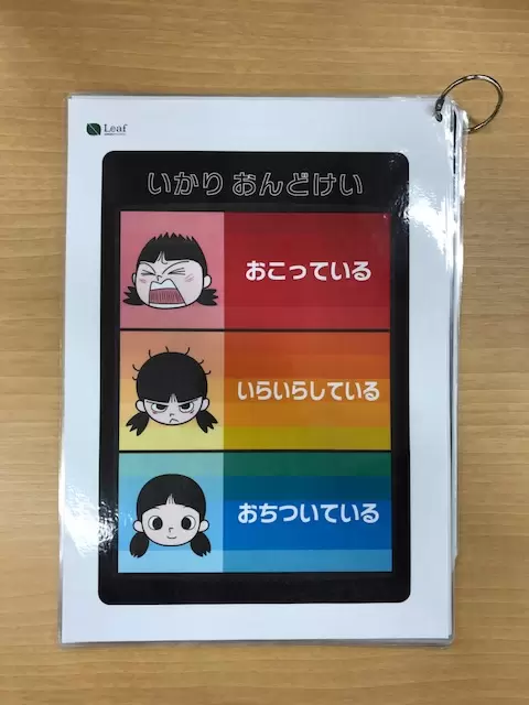 子どもの癇癪の原因 発達障害との関連 癇癪を起こす前の対策と対処法 相談先まとめ 専門家監修 Litalico発達ナビ