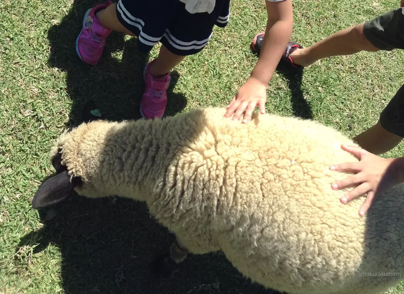 【偉人の凸凹学】信長はなぜ「うつけ者」を卒業できたのか!?少年信長を成長させた「あそび」とはの画像