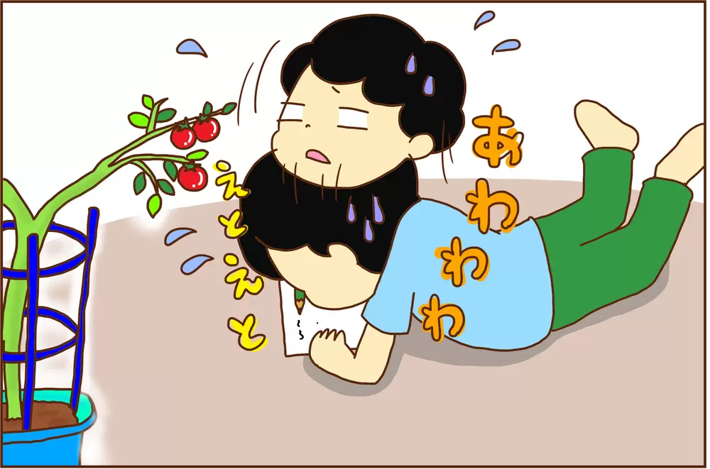 トマトの観察日記をつける息子