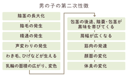 発達障害の男の子 思春期はどんな時期 変化の内容や大人の関わり方のポイントを解説 Litalico発達ナビ