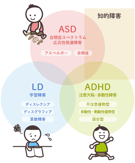 発達障害かもと思ったら読んでほしい 分類や原因や相談先 発達障害の診断について 図解つきで分かりやすく説明 Litalico発達ナビ