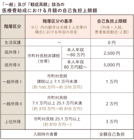 難病の軽症高額該当で 医療費助成の対象外でも支援が受けられる 制度該当条件などを詳しく解説します Litalico発達ナビ