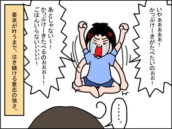 「カップケーキ食べるの！ごはんいらない！」と泣き続ける弟きーさん。