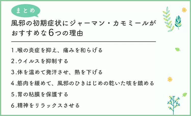 小児科医が教える、ハーブを活用した風邪対策とは？ハーブの持つ抗菌・抗炎症作用をいかした、薬だけに頼らないホームケアの画像