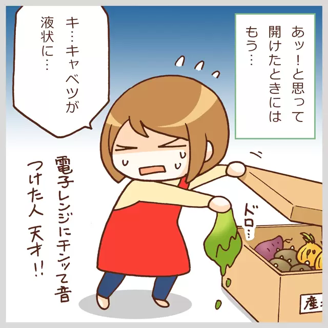 箱に入って届く宅配の野菜を腐らせるわたし
