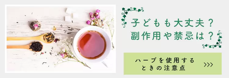バナー１