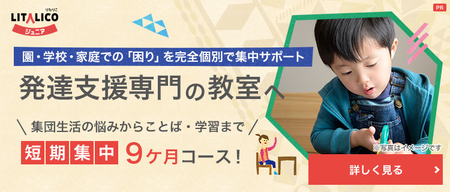 特別支援教室と通級やほかの特別支援教育との違い 特別支援教室の指導形態や目的を解説 Litalico発達ナビ