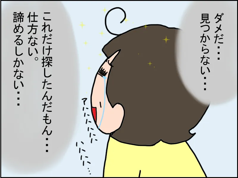 くしが見つからず、「これだけ探したんだもん、仕方ない。諦めるしかない」と思う母。