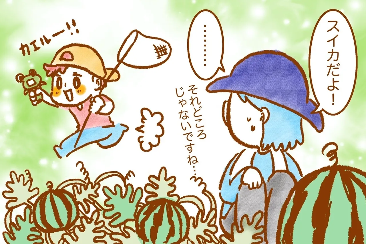 スイカよりもカエルに夢中なむっくん