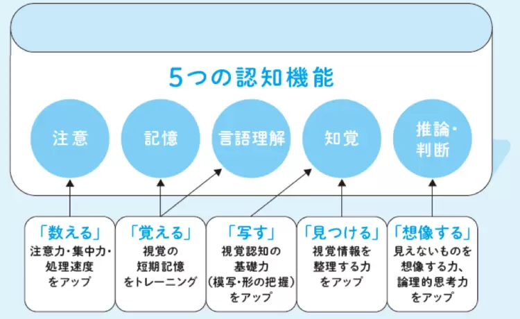 脳科学が語る認知機能の領域 - Genspark