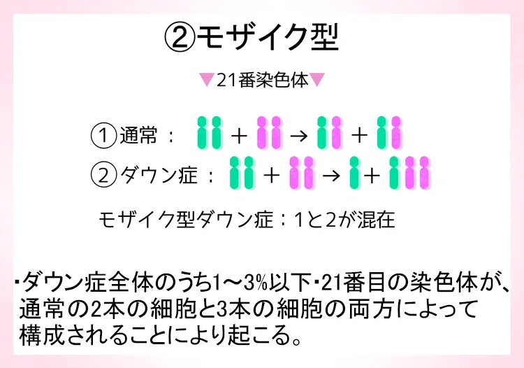 コレクション 染色体 3 本