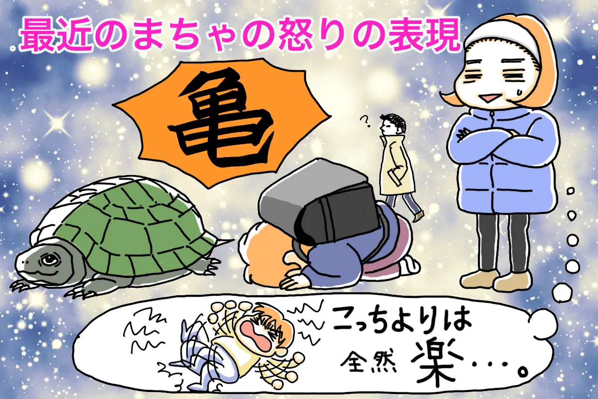 自閉スペクトラム症と知的障害のあるまちゃは怒ると亀のようにうずくまってしばらく動かなくなる。泣き叫んで癇癪を起こすよりは楽だと思う母。