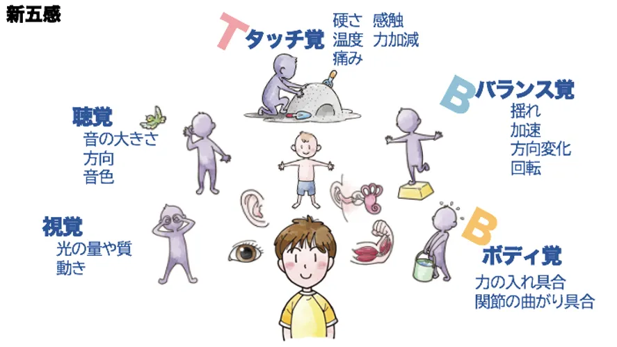 アネビーが名づけた「新五感」。タッチ覚、聴覚、視覚、ボディ覚、バランス覚のイメージ