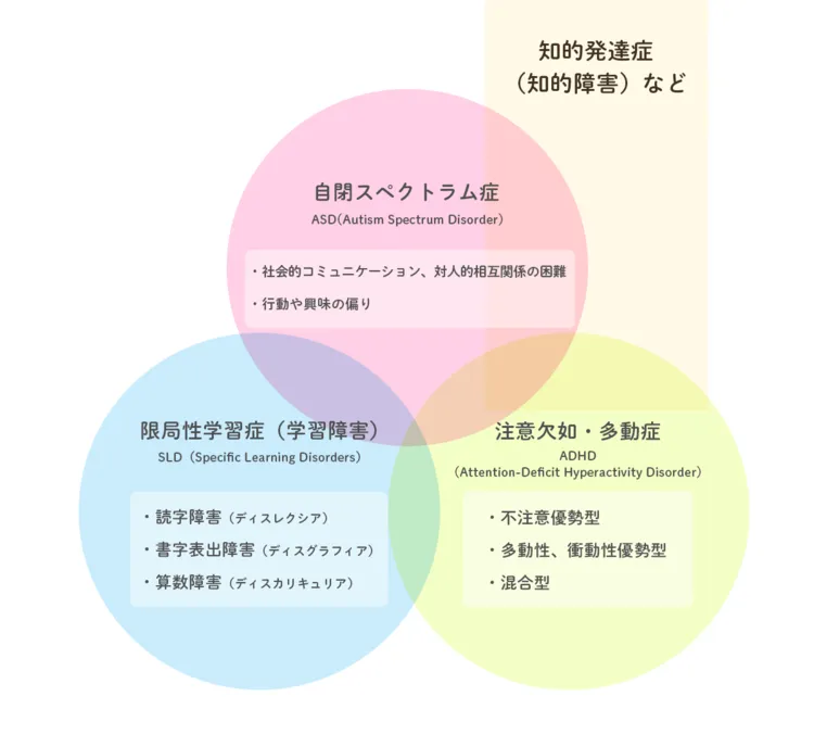 知的障害（知的発達症）とは？「IQ」と「適応機能」の関係、程度別の特徴や症状、診断基準について解説します【専門家監修】【LITALICO発達ナビ】