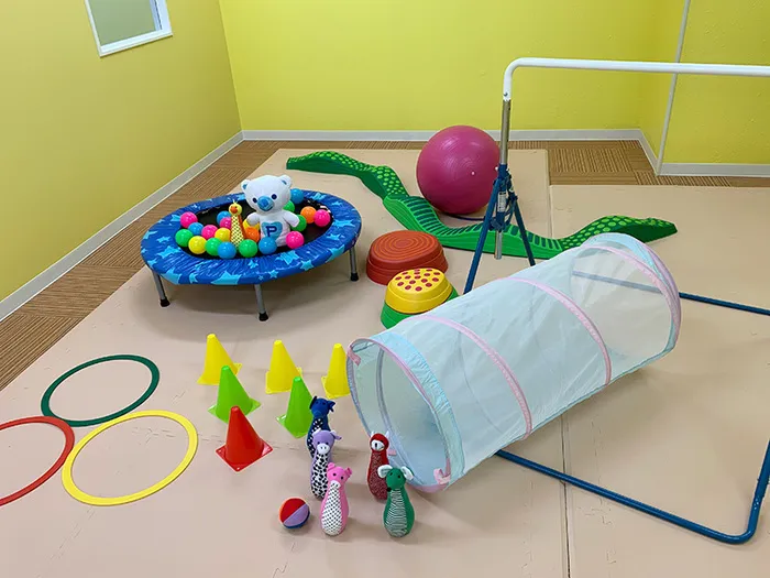 愛知県一宮市発!発達障害のある子への支援体制づくり (シリーズ・〈先進事例集〉地域の特色ある特別支援教育 3) 北海道・神奈川県・埼玉県・栃木県・愛知県・岐阜県・静岡県