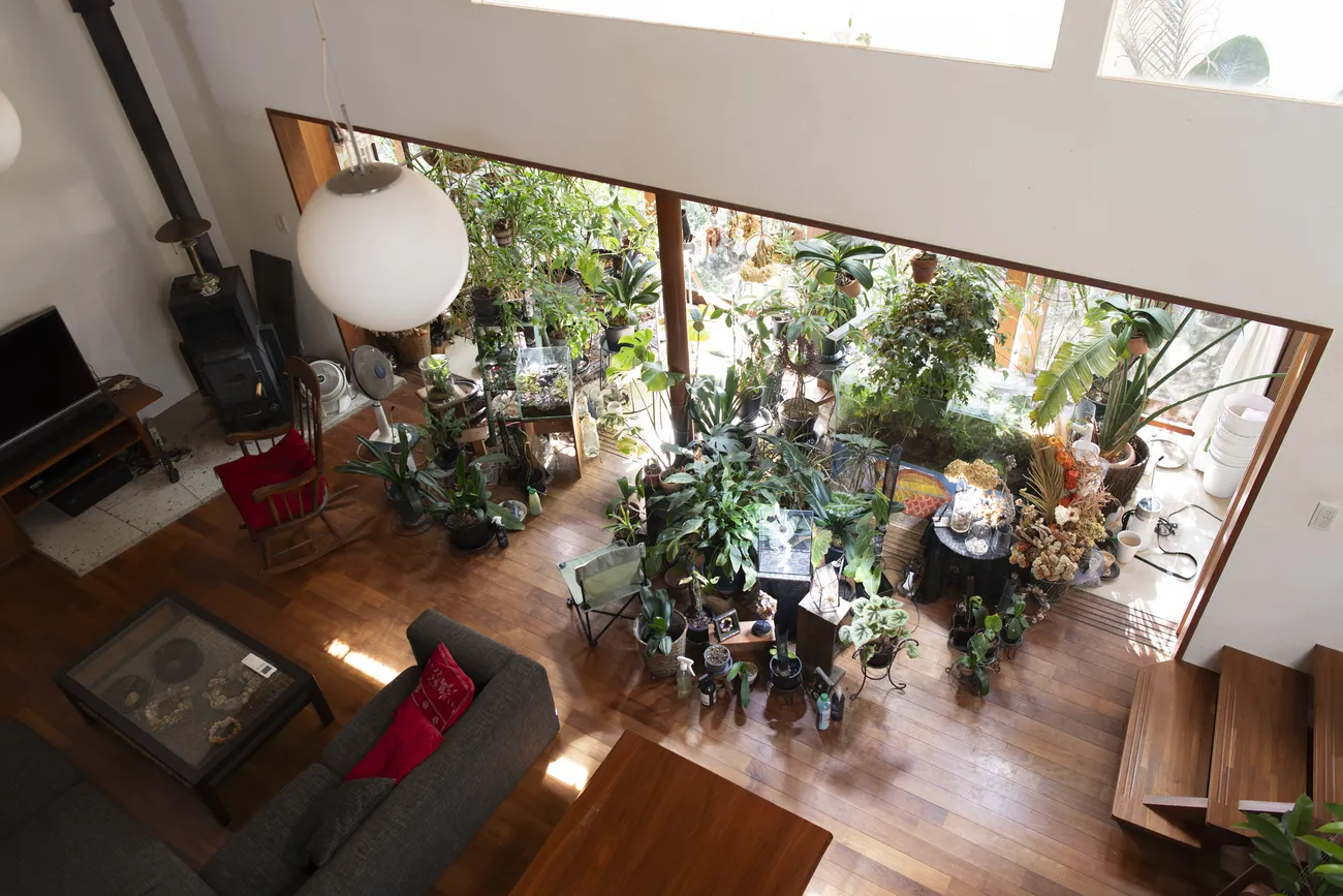 植物、光、水、ガラスのオブジェ。ここには市川さんの愛するものが詰まっている