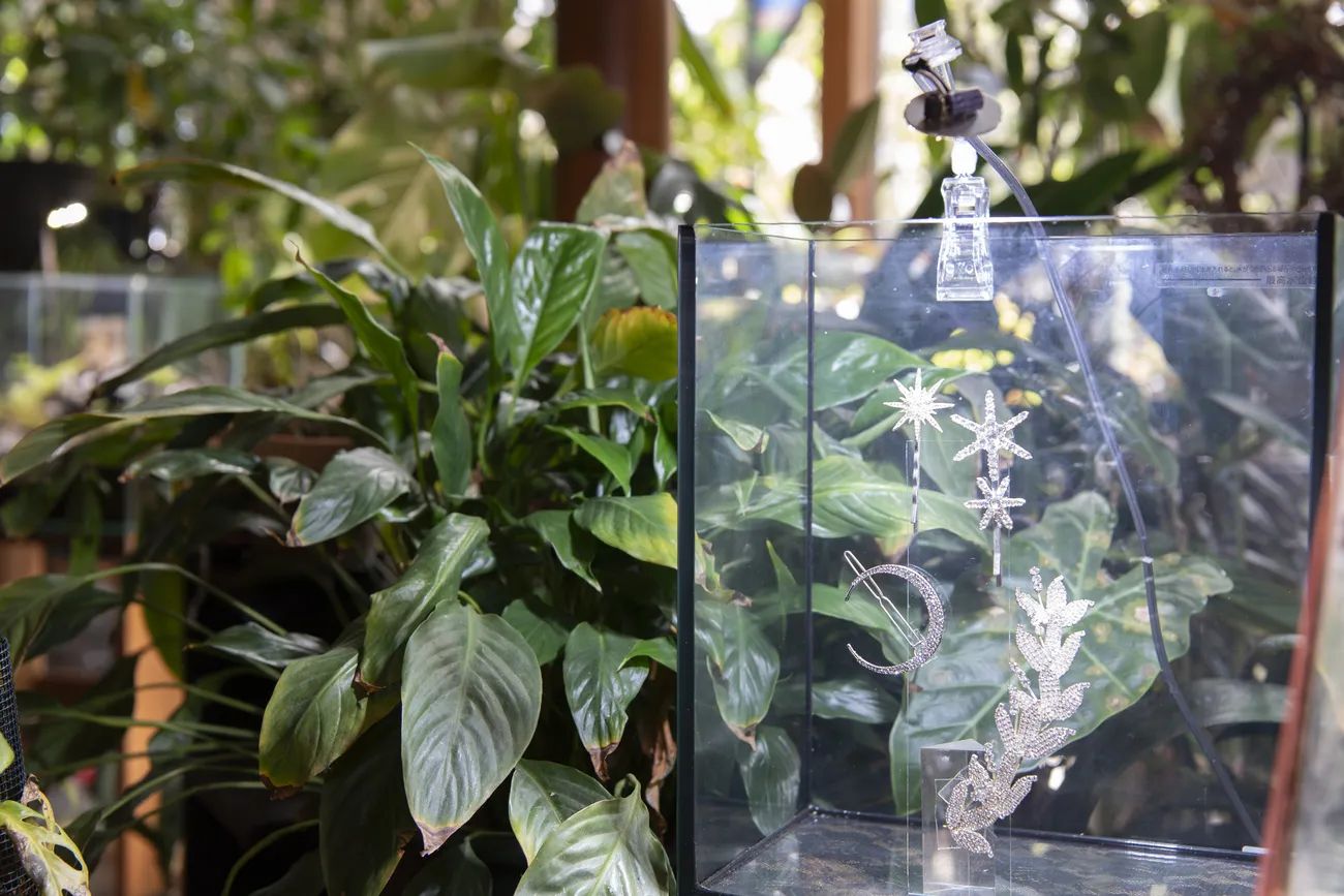 パートナーのヘアアクセサリーを美しいオブジェへと変身させてしまうセンス！