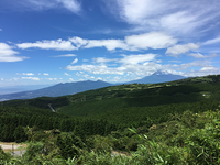 41ec59806d1757955a409423cda0736b0cbe6044 s