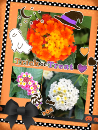 42ed0d3c 0ad9 4d93 96fc 135e6f2423bc s