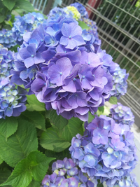 80d0bddd 2d27 474c 87f3 3a5aab7ff5fe s