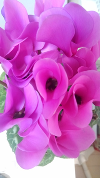 0ff961e1 7a86 403c 86ff 0db70dcee9eb s